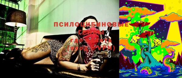 дурь Алзамай