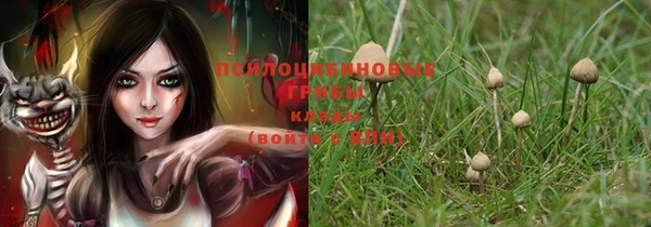 дурь Алзамай