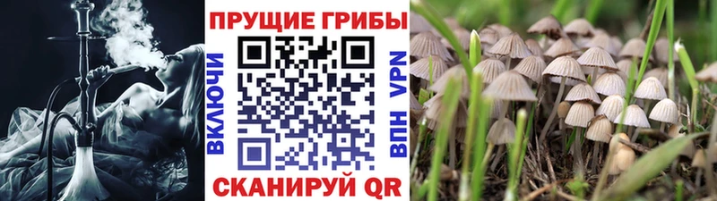 Псилоцибиновые грибы Magic Shrooms Неман